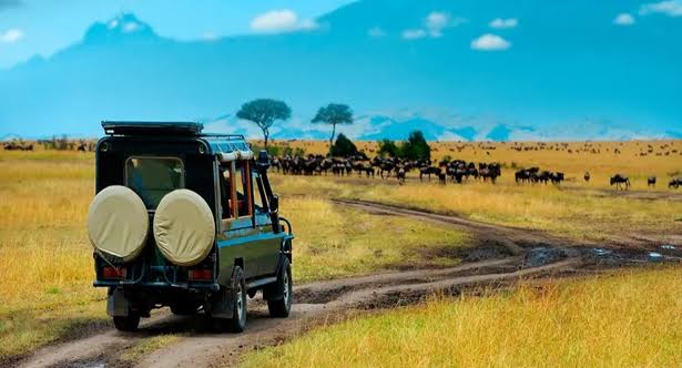 Rwanda Scenic Drives: